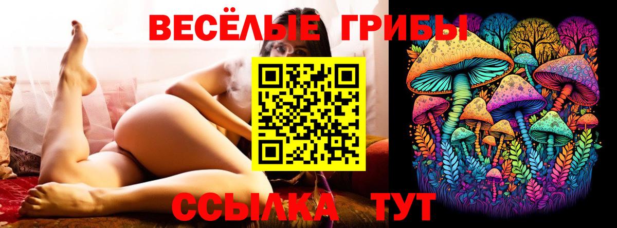 Галлюциногенные грибы прущие грибы Михайловка